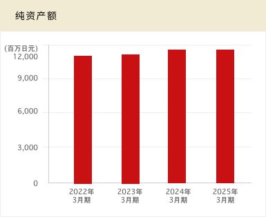 纯资产额
